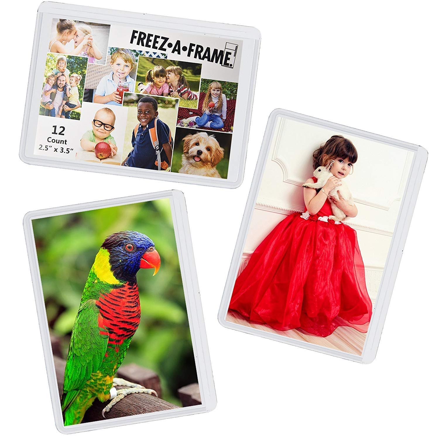 Amazon.com - 12 Pack Magnetic Wallet Picture Frames Holds 2 1/2